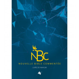 "NBC - Livre de Nahoum" par Philippe Bak et Fabio Morin