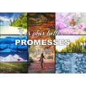 "Les plus belles promesses de la Bible" par David Nolent