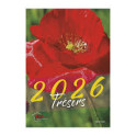 "Calendrier Trésors 2026" MSD