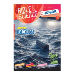 "Bible & science junior No 7: Le d&eacute;luge"