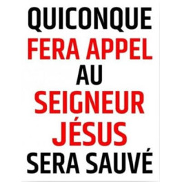 "Autocollant : Quiconque fera appel au Seigneur J&eacute;sus sera sauv&eacute;" 10x 7,5 cm